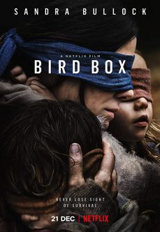 Bird Box 2018 Türkçe Dublaj